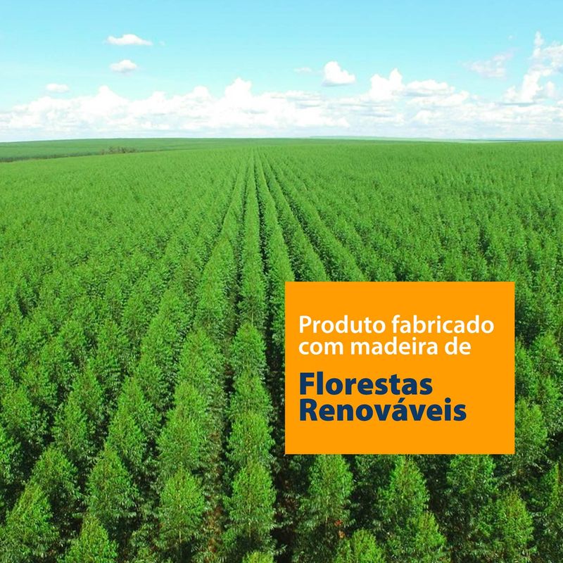 madeira-reflorestamento