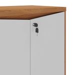 Armario-2-Portas-Y37---F.I.-Detalhe-Porta-e-Chave-1-